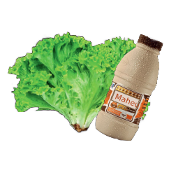 SALADA COM MAHEU FINAL transparante